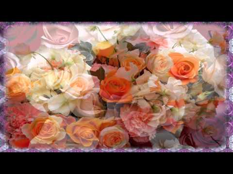 Homenagem a todas as mamães do mundo Homenagem a todas as mamães do mundo
