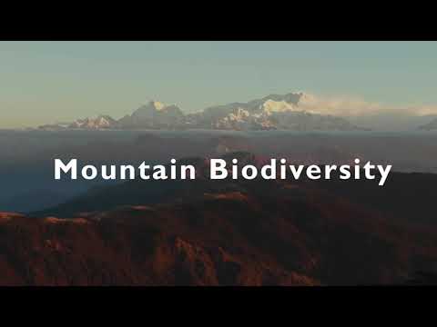 International Mountain Day 2020