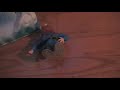 Total Gaming Island: Ice And Abuse