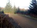 videos de Coppermines Rally Grizedale 2008