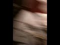 IMG_0005.MOV