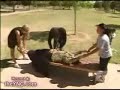 Magia: Criss Angel divide in 2 una donna! Magia: Criss Angel divide in 2 una donna!