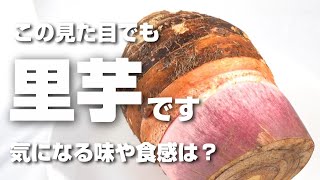 まさやん　里芋赤芽大吉の親芋　15k まさやん様専用 里芋赤芽大吉の親芋 15k