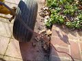 Cub cadet 107 update