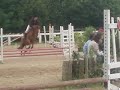 Questel rere