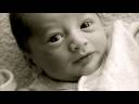 Baby Kip\
