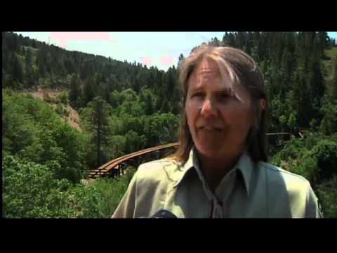 mexican train mexican train