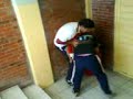 Pelea 1 samy vs hormiga Pelea 1 samy vs hormiga