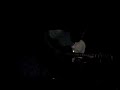tommy emmanuel   guitar boogie  in the dark! 