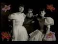 Aterciopelados - La Estaca