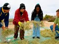 The Seawater Foundation and the Seri People