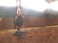 Dressage training, March07