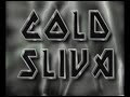 Cold Sliva Music Video: "Want (Kill Kill Yeah!)"