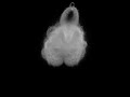 Anti-Buddhabrot Hologram ZrZi-ZrCr Anti-Buddhabrot Hologram ZrZi-ZrCr