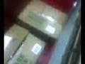 videos de Fall