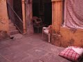 Dr J.P.johri Kota Home video4