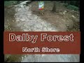 Dalby Forest North Shore