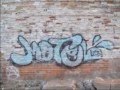 VC - GONE - SEED - MSD - LOES + MORE MONTREAL TAGS