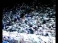 videos de Devin Harris buzzer beater