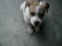 Billy, o cara