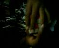 videos de Brainy never before