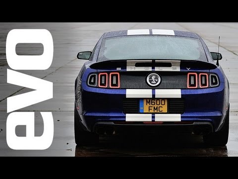 shelby