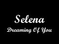 Perez-Dreaming Of You-Karaoke
