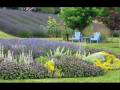 videos de tuj bin -vijay benedict