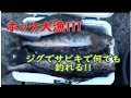 2019年　4月22日　ホッケ釣り　爆釣