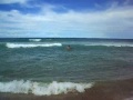 Surf Brasile 2008