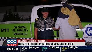 DIVISIÓN DELITOS RURALES Y AMBIENTALES