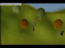 Runescape Fletching Guide