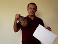 mago da física   ressonância em um pêndulo   qualitativo