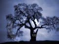 IWC Portuguese Perpetual Calendar 5021-19