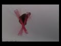 Jesper Tjäder promo 07-80