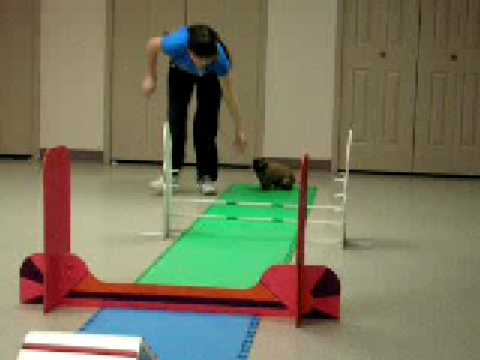 how to practice being witty