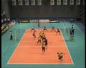 Services Tony Krolis Piet-Zoomers/D