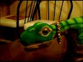 Pleosaurus Rex! Pleosaurus Rex!