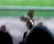 Stadio dorico 10/6/2008