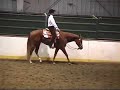 Hot Stockings - Futurity Winner For Sale Hot Stockings - Futurity Winner For Sale