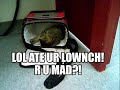 LOLCAT BUSI