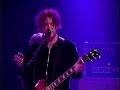 1996 show at the Metro Chicago.