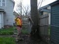 layla climbin a tree