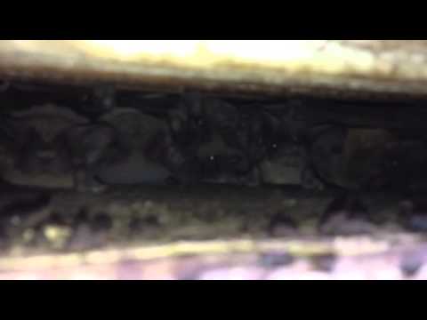 how to build a gable vent