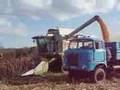 Lexion 450 HUN