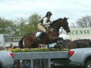My Montage 11/22/08