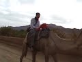Klarika riding the camel 2 Klarika riding the camel 2