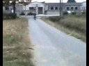 F10 Parmakit 75 cc