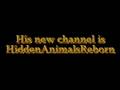 HiddenAnimalsReborn