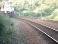 trem 555